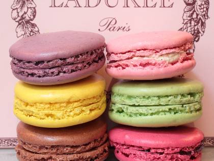 Lucca e Macaron: très chic!