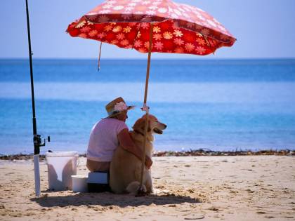 Fiumicino, il Tar dice "no" al libero accesso dei cani in spiaggia