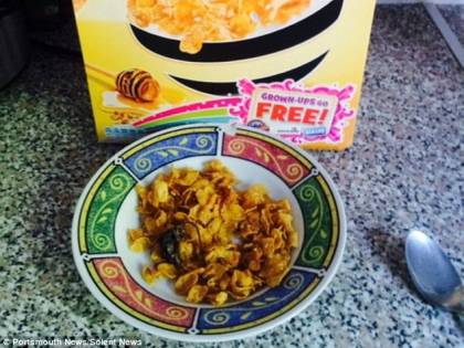 Trova un topo morto nei cereali