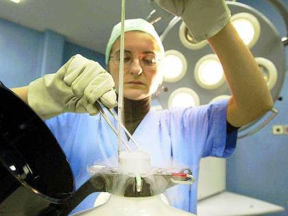 La Consulta frena la maternità surrogata: richiesta tutela bambini