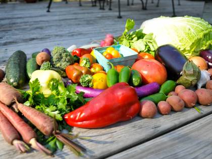 Agricoltura bio vs tradizionale: il gap di produttività si riduce