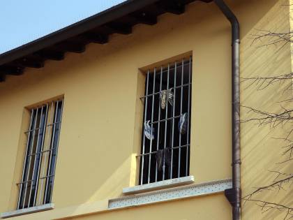 Da oggi la follia è "abolita" per decreto legge