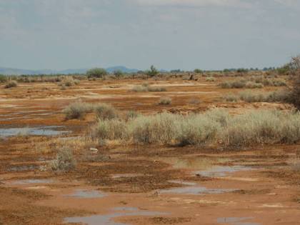 Una settimana nel deserto, sopravvive mangiando formiche