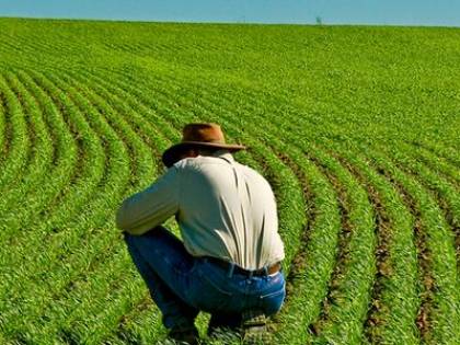 Cibo sostenibile solo per 3,4 miliardi di persone. Ma nel mondo siamo 7,8