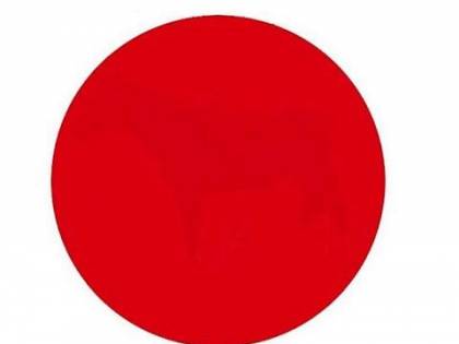 Bandiera del Giappone? No, pochi riescono a vedere cosa c'è dentro
