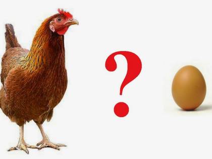 È nato prima l'uovo o la gallina? Finalmente c'è la risposta