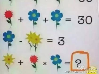 Il rebus fa impazzire la rete: come si sommano questi fiori?