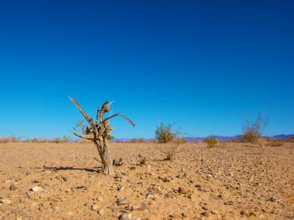 Clima, 2017 anno più secco in Italia da due secoli