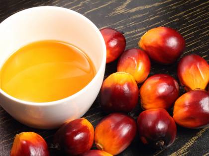 La Russia importa olio di palma per rimpiazzare il latte europeo