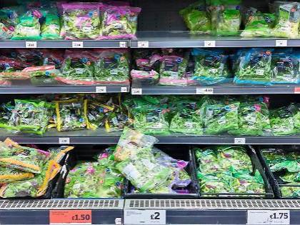 Scatta l'allarme salmonella nelle buste di insalata già confezionate