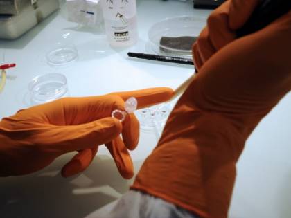 Se Londra dà il via libera ai figli su misura