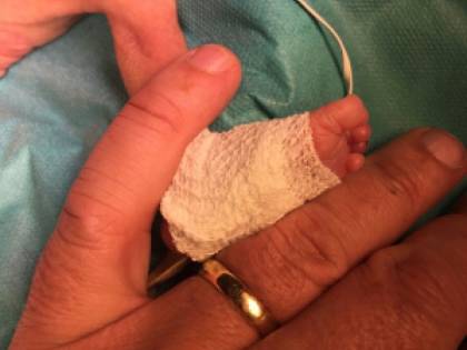 Belgio, nutrono il figlio con latte di quinoa e avena: Lucas muore a 7 mesi