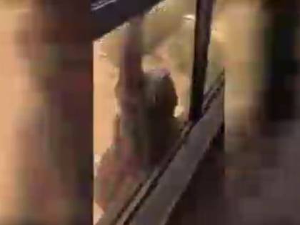 Cameriera scivola dal settimo piano e chiede aiuto: la sua datrice di lavoro continua a filmare senza afferrarla