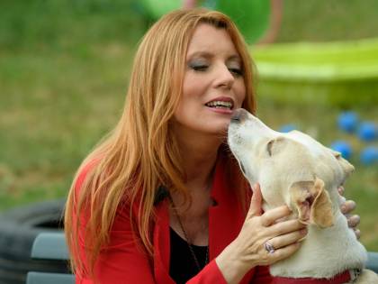 I nonni? Adottino un cane anziano. Fa bene al cuore e batte la solitudine