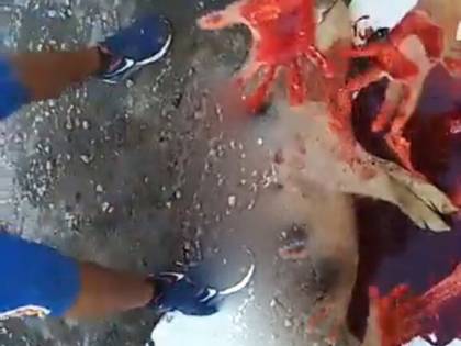 Fratelli rom accusati di rapina: mani nel sangue del maiale appena ucciso