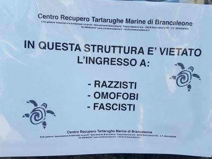 Nel centro per il recupero delle tartarughe marine vietato l'ingresso ai fascisti