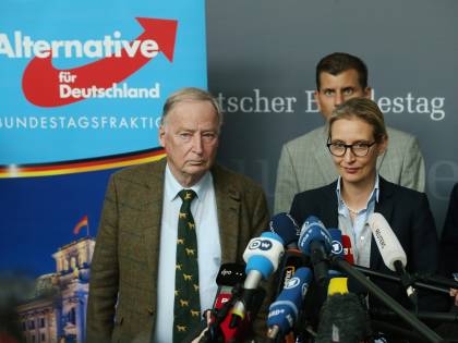 L'accusa dello Spiegel all'Afd: "Finanziati da un miliardario"