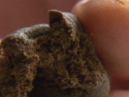 Nascondeva hashish nella galleria ferroviaria, arrestato