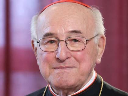 Il cardinale sul documento pre Sinodo: "eretico"