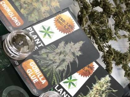 Il vescovo sta con Salvini: "Fermezza contro la cannabis light"
