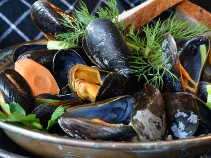 Cozze con salmonella: è allerta sanitaria in Italia