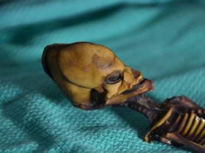 Svelato il mistero su Ata, lo "scheletro dell'alieno"