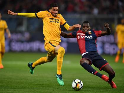 Il Genoa manda al tappeto il Verona: a Marassi finisce 3-1