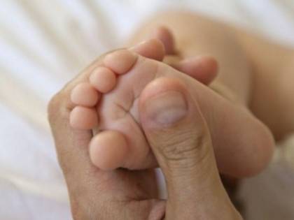 Quei figli di un diritto creativo