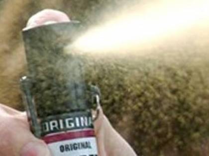Cremona, spruzza spray al peperoncino in classe: in 5 all'ospedale