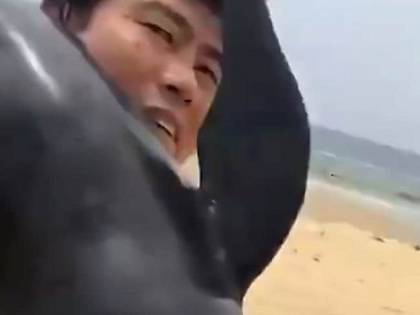 Così il turista si allontana dalla spiaggia con un delfino in spalla
