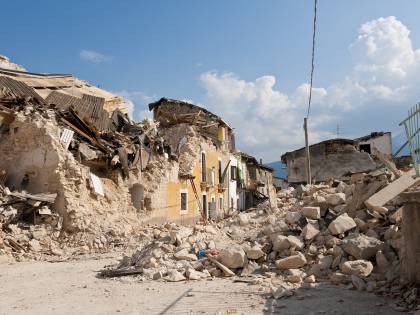 Norcia, cane terremotato percorre 60 km per tornare nella sua terra