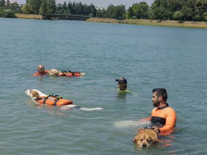 Idroscalo da 10 anni quartier generale dei cani "supereroi"