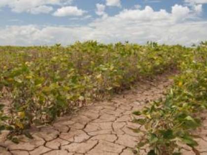 La Conferenza sul Clima ferma nel tempo. Solo un laboratorio può salvare il pianeta