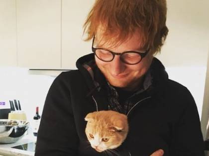 Ed Sheeran paga più tasse di Amazon
