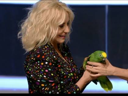 Portobello, polemiche sul pappagallo del programma di Antonella Clerici