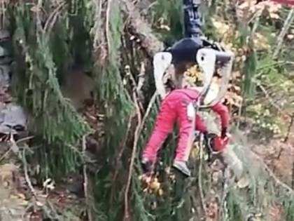 Belluno, la fake dell'uomo che taglia gli alberi in condizioni estreme