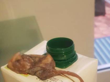 Taranto, mamma trova un topo nel succo di frutta del figlio