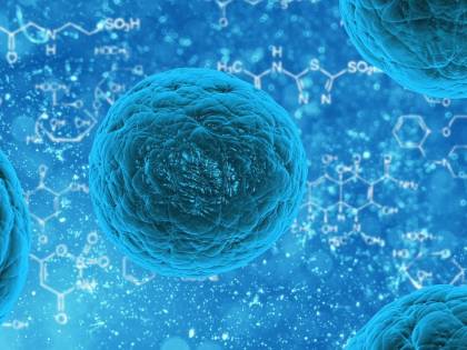 L’immunoterapia per sconfiggere il cancro