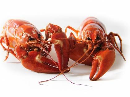 L'Ue "taglia" pure il pesce: rischio di rincari a tavola