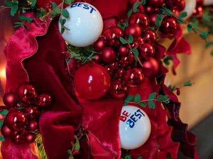 Ecco l'albero di Natale a prova di gatto