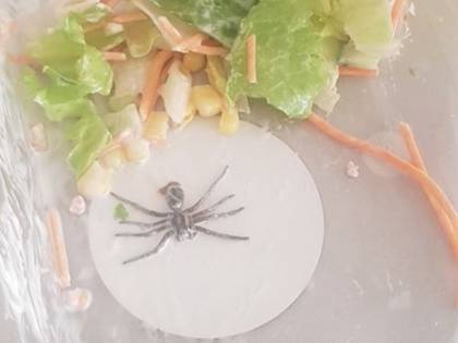 Trova ragno nell'insalata: foto choc diventa virale