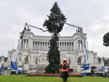 Spelacchio e software per l'anagrafica: ecco dove sono finiti i soldi per le buche