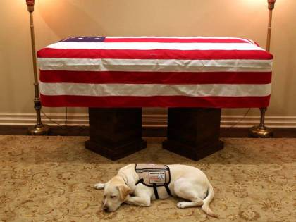 Sully, il cane di Bush che veglia ancora la bara "Missione compiuta"