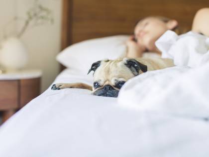 Come arredare la camera da letto e dormire bene