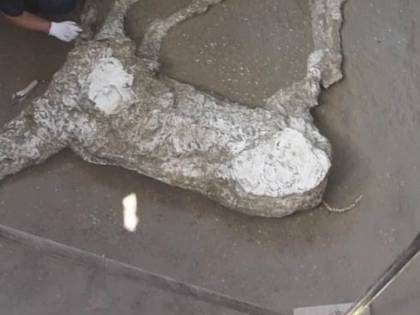 Pompei, trovato cavallo con ricca bardatura militare