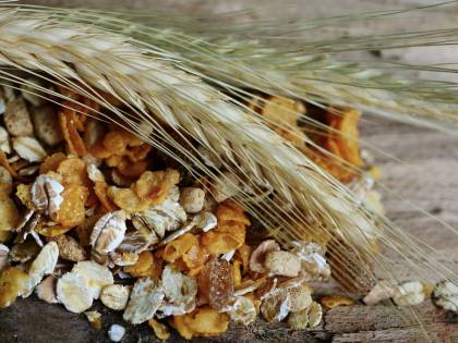 Cereali e fibre aiutano contro cancro, diabete e infarto