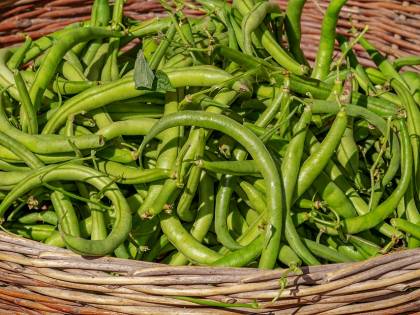 Prezzi record per le verdure a causa del freddo
