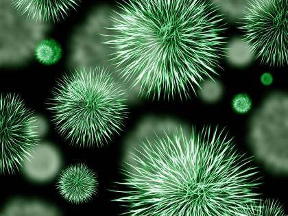 Nel nostro corpo abitano almeno 5mila specie diverse di batteri