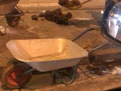 Elefante a spasso per il centro di San Giorgio a Cremano