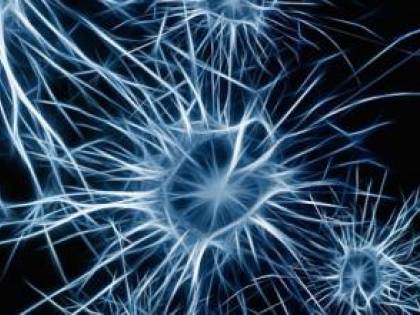 Hai avuto un herpes? Ecco quali malattie ora rischi di avere